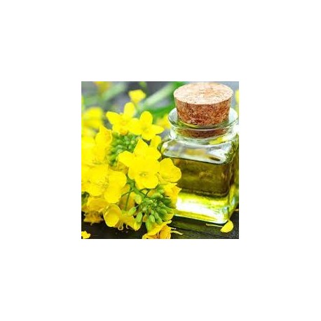 HUILE DE CAMELINE BIO 250ML.HAUTES ALPES