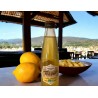 THE VERT MENEAU CITRON GINGEMBRE 25 CL