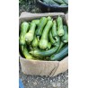 courgettes de Nice (au kg)