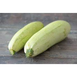 Courgettes blanche 1/2 longues, bio, Grasse