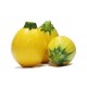 Courgette au kg