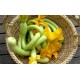 Courgettes trompettes fleurs Grasse  (au 500g)