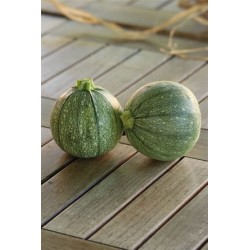 Courgettes rondes au 500g