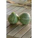 Courgettes rondes Bio Grasse (au 500 g)