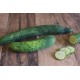 Concombre Bio Grasse (au 500g)