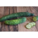 Concombres Bio Grasse (au 500g)