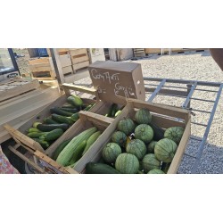 Courgettes non calibrées (cagette 5kg )