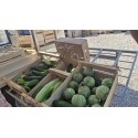 Courgettes non calibrées (cagette 5kg )