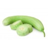 Concombre arménien Bio Grasse (au 500g)