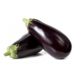 Aubergines Bio Grasse