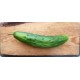 Concombre épineux vert ChateauNeuf Bio (à la pièce)