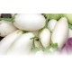 Aubergines Blanches Bio de Grasse Grasse