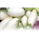 Aubergines Blanches Bio de Grasse au kg  Grasse