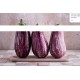 Aubergines Violettes Bio de Grasse Grasse