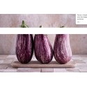 Aubergines Violettes Angela  Bio de Grasse au kg Grasse