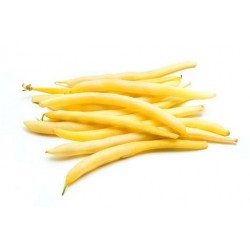 Haricots verts 