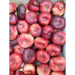 Nectarines  plates  variétés craquelée au 500G E P- HAUTES  ALPES