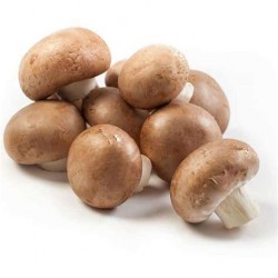 Champignons de Paris (au 100g)