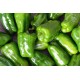 Poivrons verts