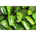 Poivrons verts (au 500 g)