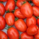 Tomates ROMA BIO Chateauneuf (au kg)