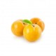 Prunes Sun Gold au 500G.  Echange Paysans