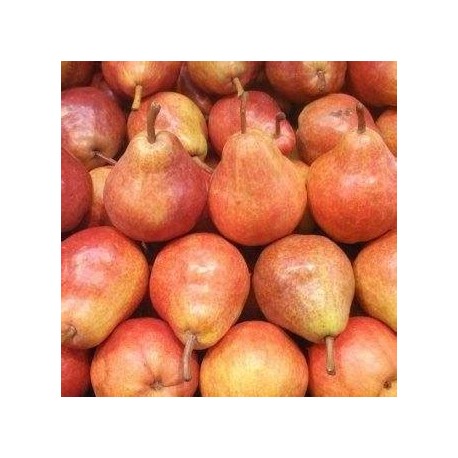 Poires Williams rouges (au Kg)