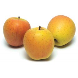 Pommes Opal Cevennes Bio au KG