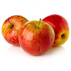 Pommes Elstar Bio France au KG