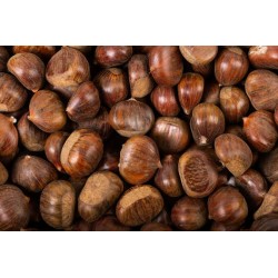 Châtaignes  Bio au 500 G