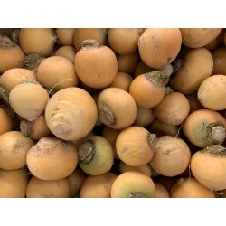 Navets Jaunes Boule d'Or BIO FRANCE (au 500g)