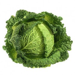 Chou vert frisé de Grasse BIO (à la pièce prix au kg)