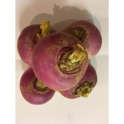 Navet BIO (prix au kg)